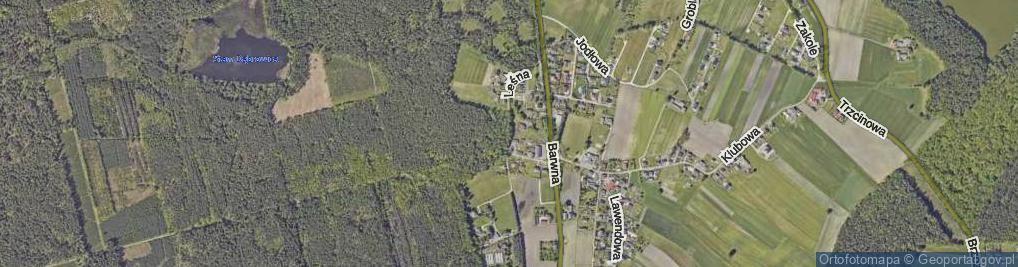 Zdjęcie satelitarne Leśna ul.