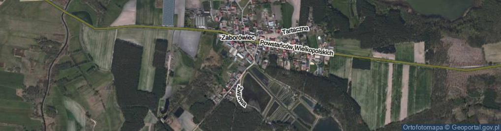 Zdjęcie satelitarne Lgińska ul.
