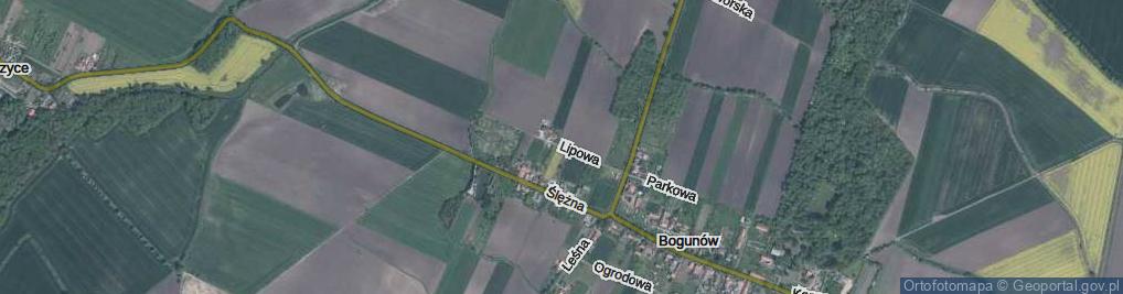 Zdjęcie satelitarne Lipowa ul.