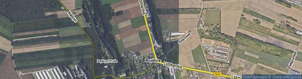 Zdjęcie satelitarne Lidzbarska ul.