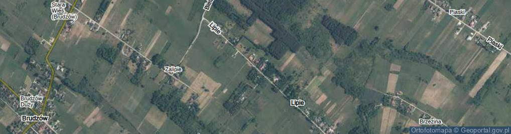 Zdjęcie satelitarne Lipie ul.
