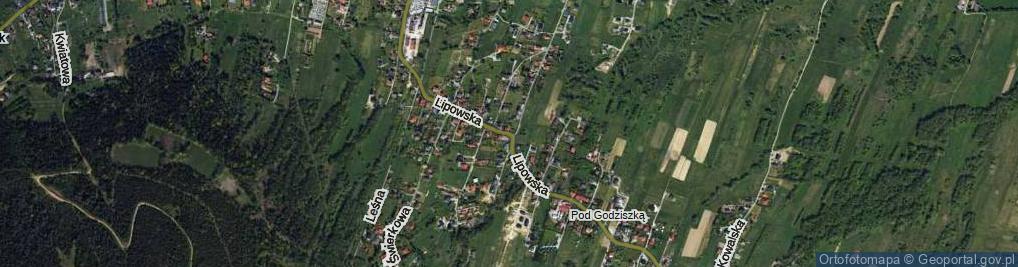 Zdjęcie satelitarne Lipowska ul.