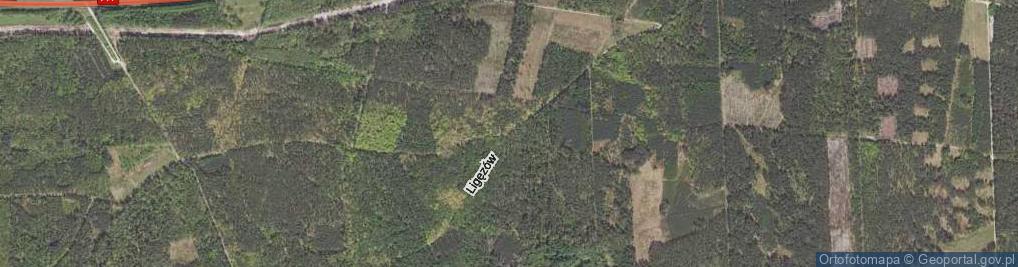 Zdjęcie satelitarne Ligęzów ul.