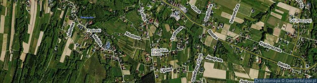 Zdjęcie satelitarne Liliowa ul.