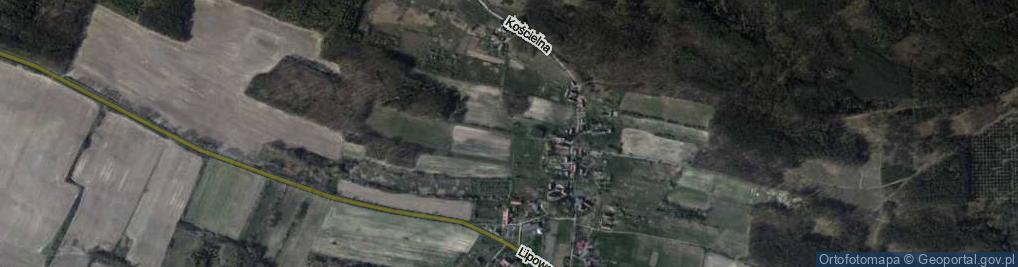Zdjęcie satelitarne Lisia ul.