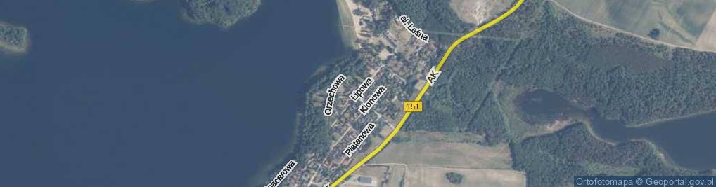 Zdjęcie satelitarne Lipowa ul.