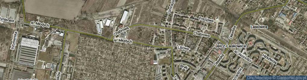 Zdjęcie satelitarne Licealna ul.