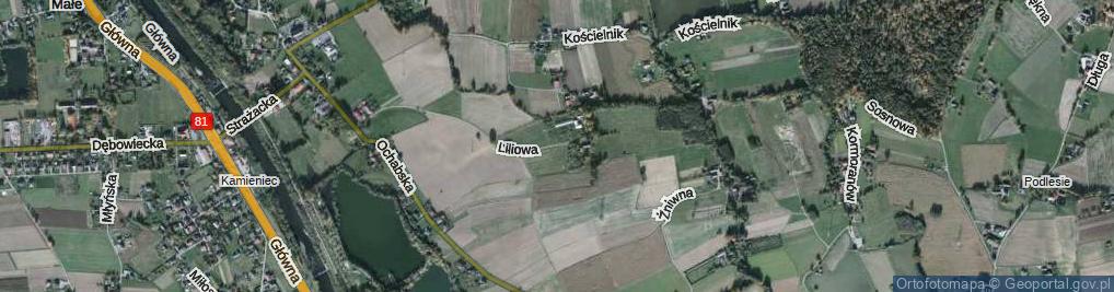 Zdjęcie satelitarne Liliowa ul.