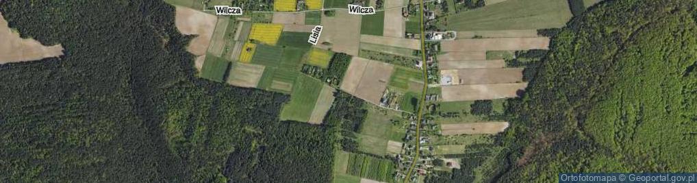 Zdjęcie satelitarne Lisia ul.