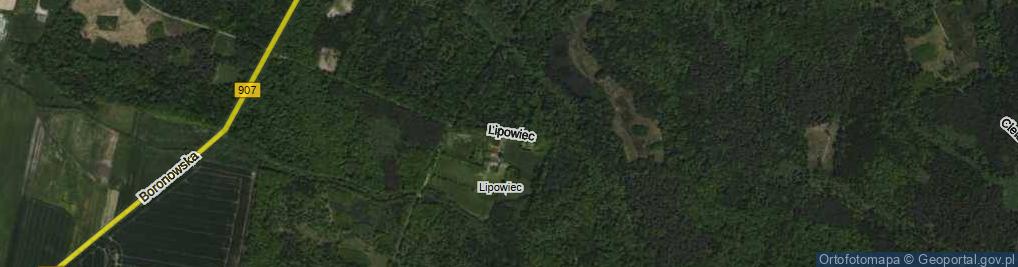 Zdjęcie satelitarne Lipowiec ul.
