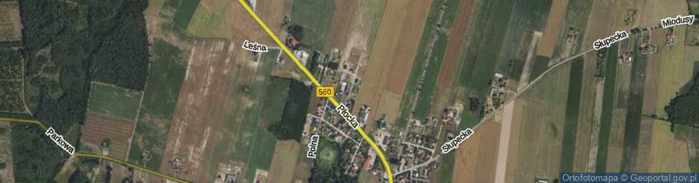 Zdjęcie satelitarne Lipowa ul.