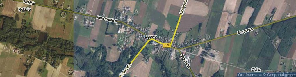 Zdjęcie satelitarne Ligowo ul.