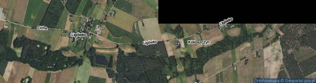 Zdjęcie satelitarne Ligówko ul.