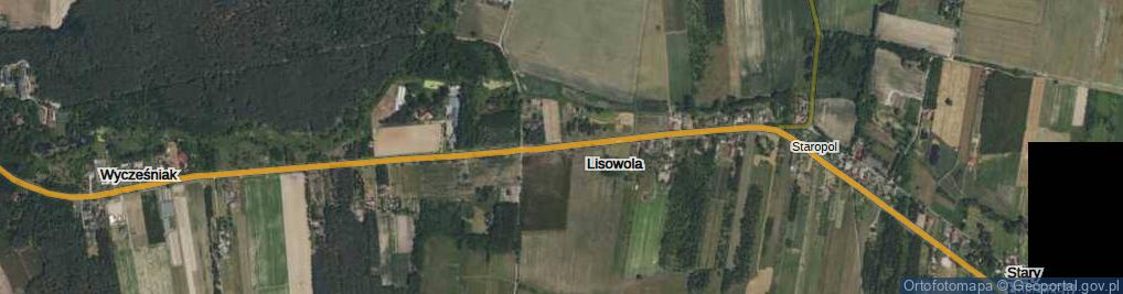 Zdjęcie satelitarne Lisowola ul.