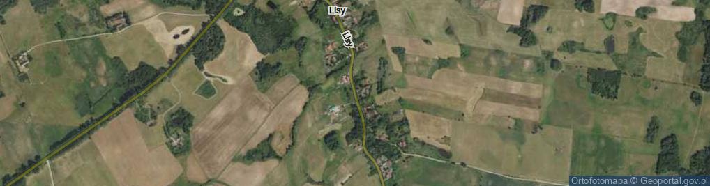 Zdjęcie satelitarne Lisy ul.