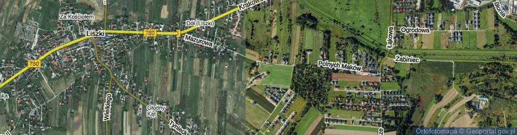 Zdjęcie satelitarne Liszki ul.