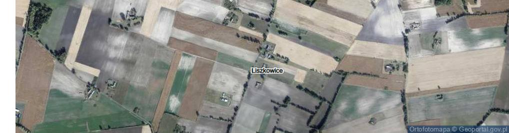 Zdjęcie satelitarne Liszkowice ul.