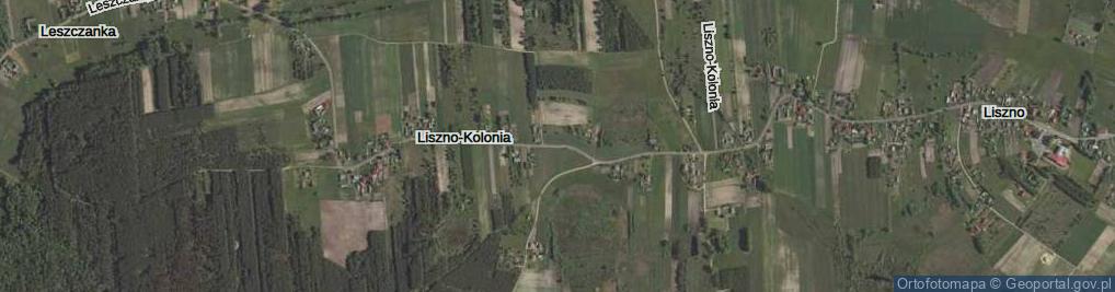 Zdjęcie satelitarne Liszno-Kolonia ul.