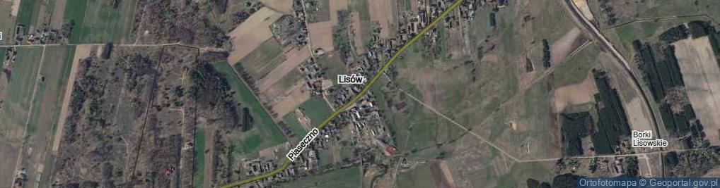 Zdjęcie satelitarne Lisów ul.