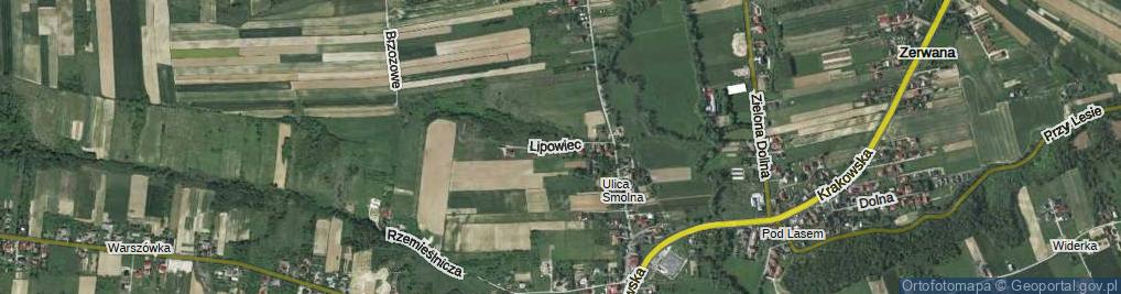 Zdjęcie satelitarne Lipowiec ul.
