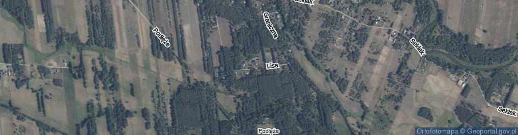 Zdjęcie satelitarne Lisa ul.