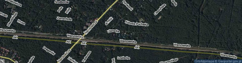 Zdjęcie satelitarne Literacka ul.