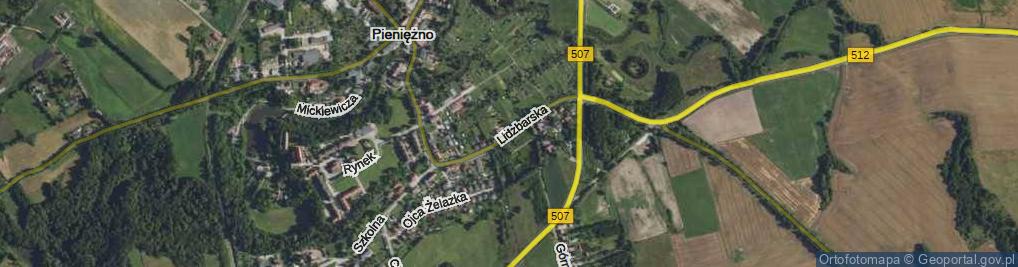 Zdjęcie satelitarne Lidzbarska ul.