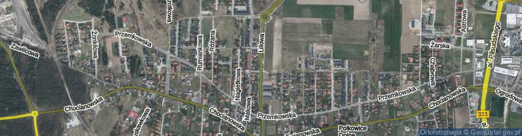 Zdjęcie satelitarne Liliowa ul.