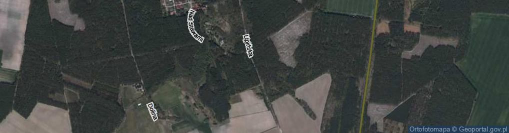 Zdjęcie satelitarne Lipińska ul.