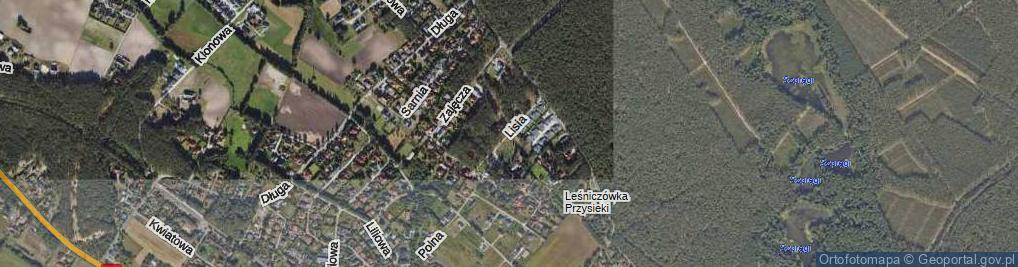 Zdjęcie satelitarne Lisia ul.