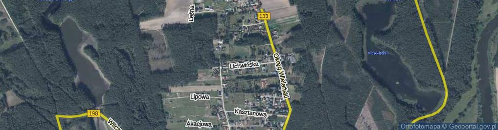 Zdjęcie satelitarne Lichwińska ul.