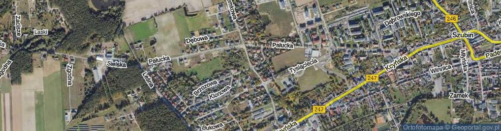 Zdjęcie satelitarne Lipowa ul.