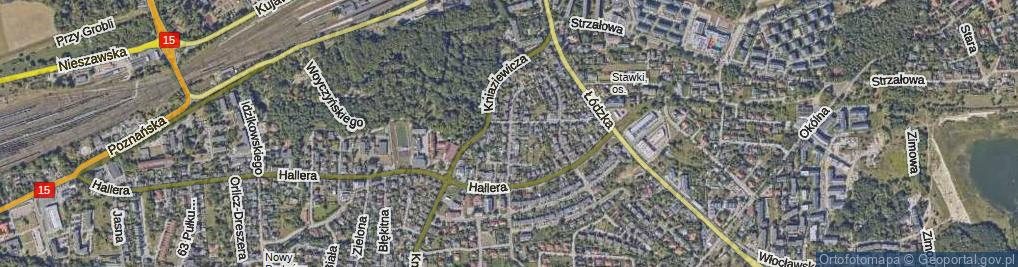 Zdjęcie satelitarne Licealna ul.