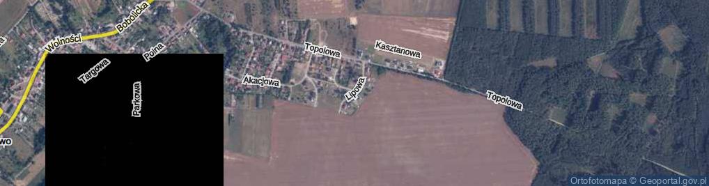 Zdjęcie satelitarne Lipowa ul.