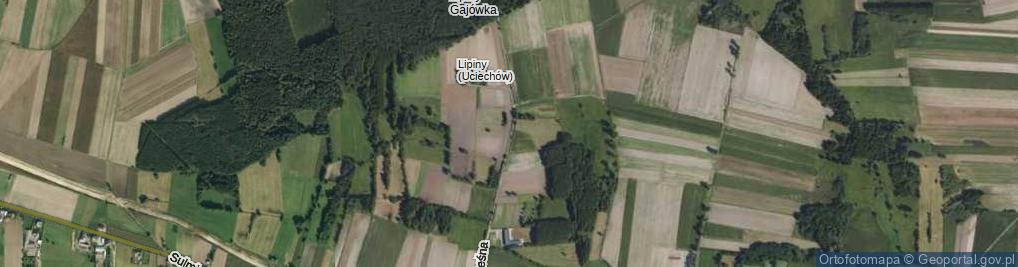 Zdjęcie satelitarne Lipiny (Uciechów) ul.