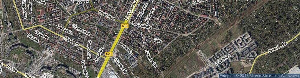 Zdjęcie satelitarne Lisia ul.