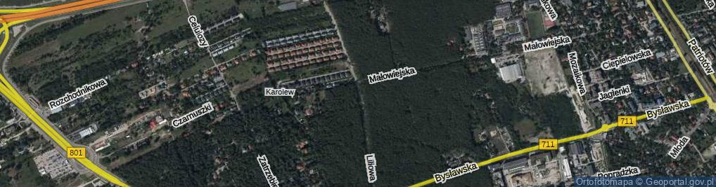 Zdjęcie satelitarne Liliowa ul.