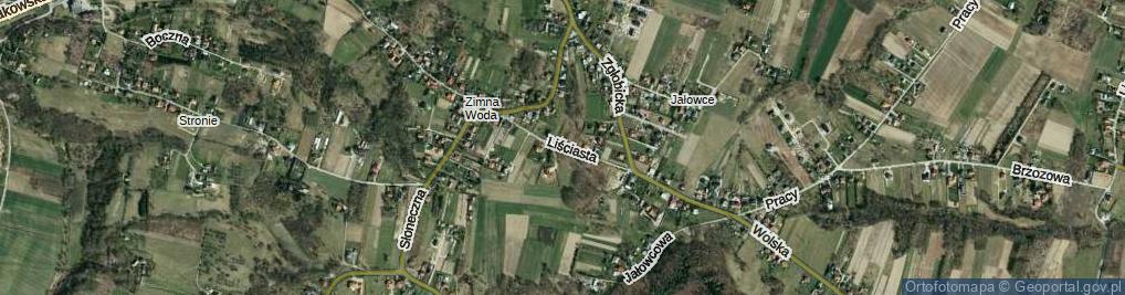 Zdjęcie satelitarne Liściasta ul.