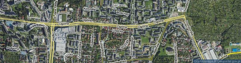 Zdjęcie satelitarne Łowicka ul.
