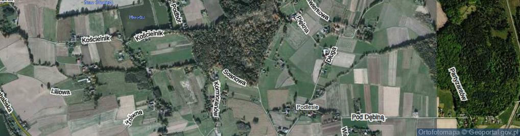 Zdjęcie satelitarne Łowiecka ul.