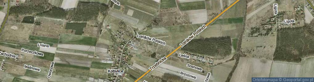 Zdjęcie satelitarne Lotników Polskich ul.