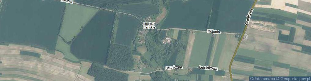 Zdjęcie satelitarne Łowiczki Pańskie ul.