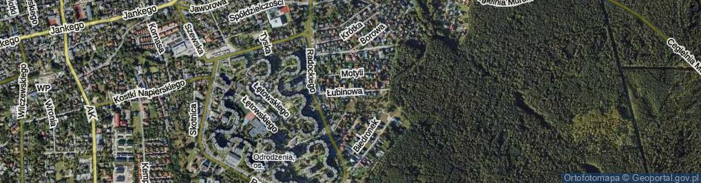 Zdjęcie satelitarne Łubinowa ul.