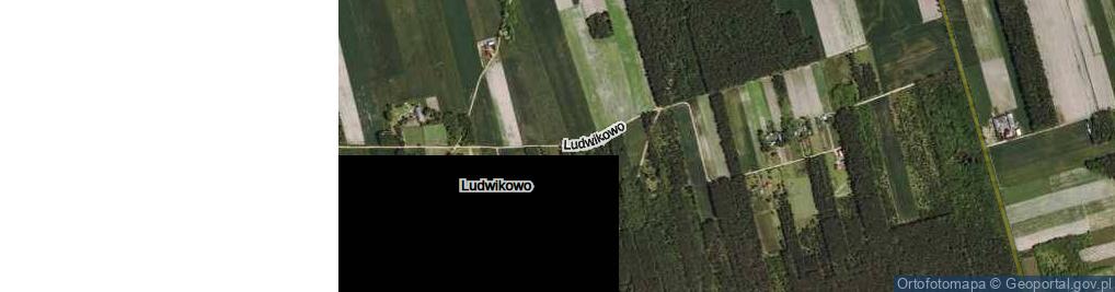 Zdjęcie satelitarne Ludwikowo ul.