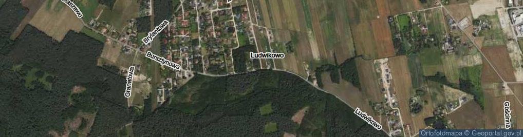 Zdjęcie satelitarne Ludwikowo ul.