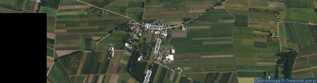 Zdjęcie satelitarne Lutobory ul.