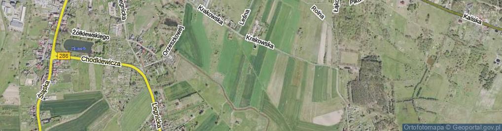 Zdjęcie satelitarne Lwowska ul.
