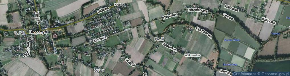 Zdjęcie satelitarne Magnoliowa ul.