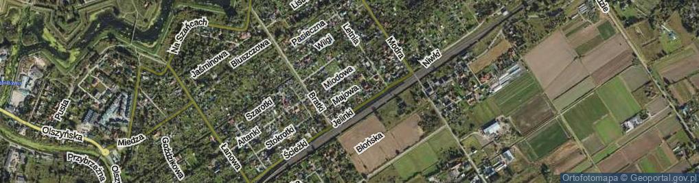 Zdjęcie satelitarne Majowa ul.