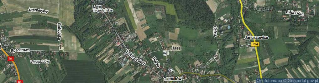 Zdjęcie satelitarne Malwowa ul.